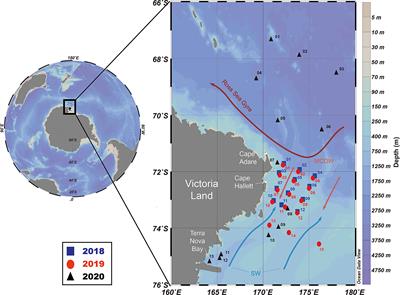 Distribution of the Mesozooplankton Community in the Western Ross Sea Region Marine Protected Area During Late Summer Bloom